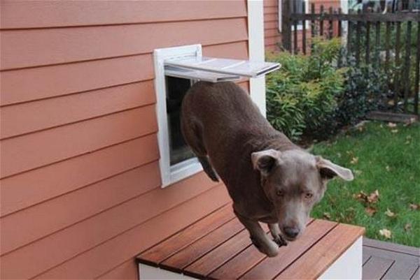 DIY Dog Door Installation