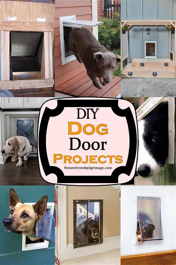 DIY Dog Door Projects