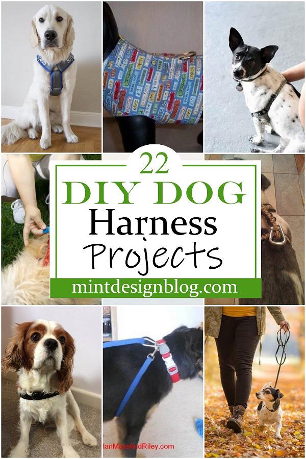 DIY Dog Harness Projects 1