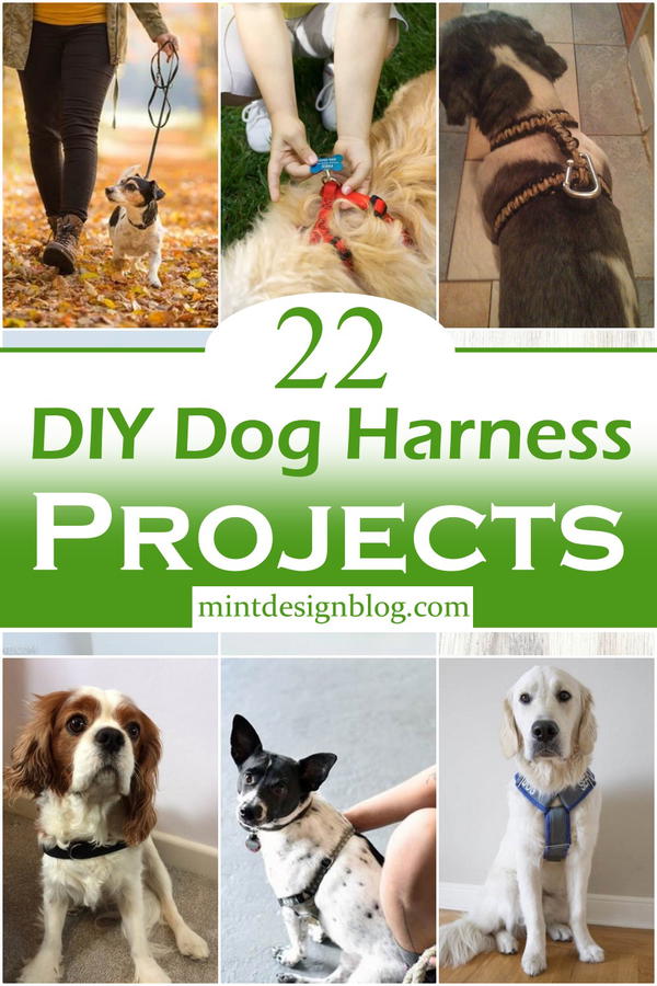 DIY Dog Harness Projects 2