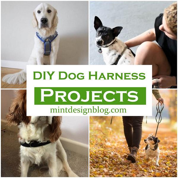 DIY Dog Harness Projects