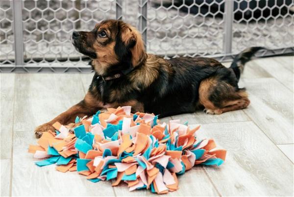 DIY Dog Snuffle Mat