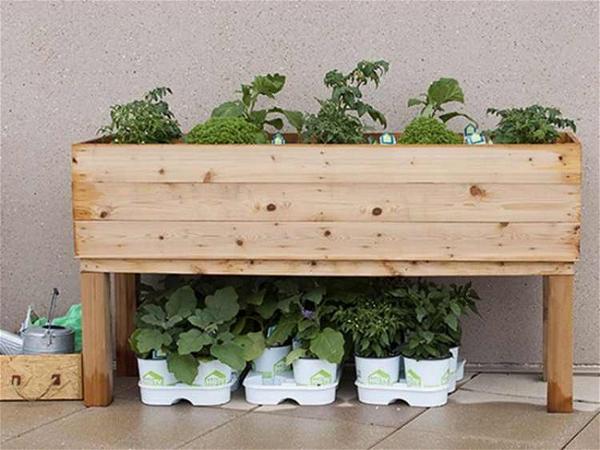 DIY Elevated Wooden Planter Box