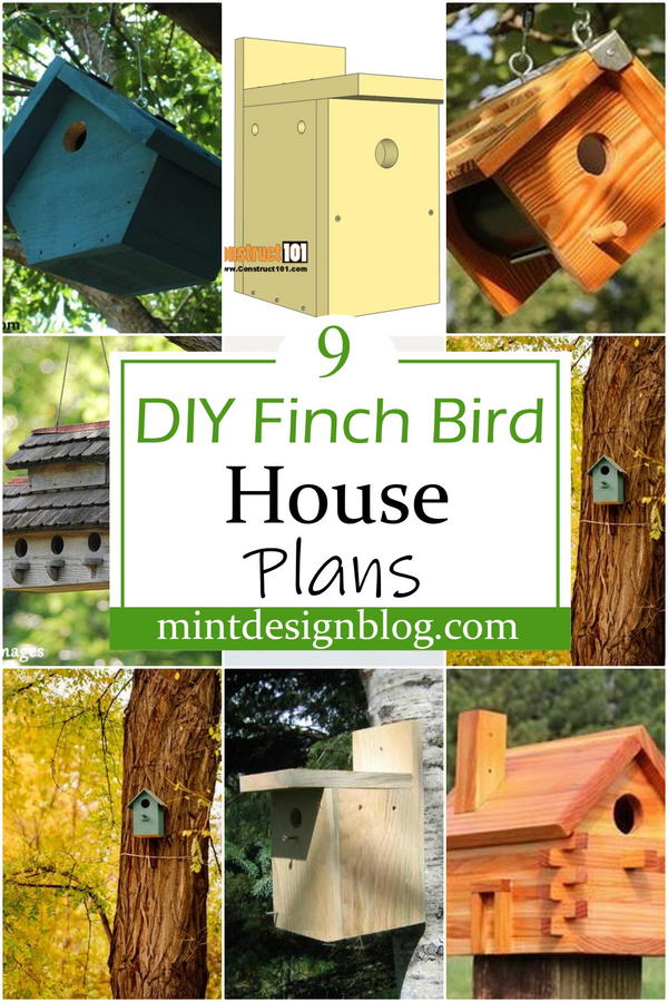 9 DIY Finch Bird House Plans To Attract Birds - Mint Design Blog