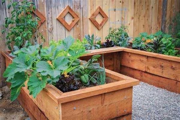 DIY Garden Box 1