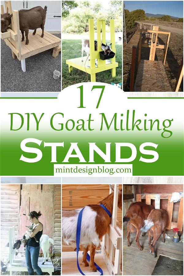 DIY Goat Milking Stands 1