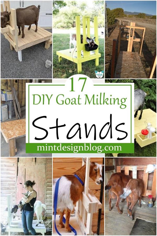 17 DIY Goat Milking Stands You Can Make Today - Mint Design Blog