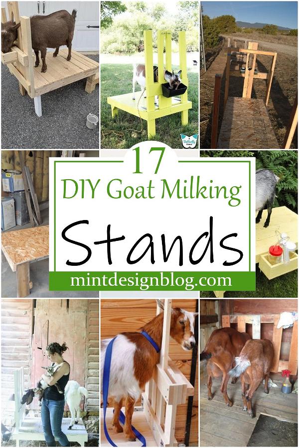 DIY Goat Milking Stands 2
