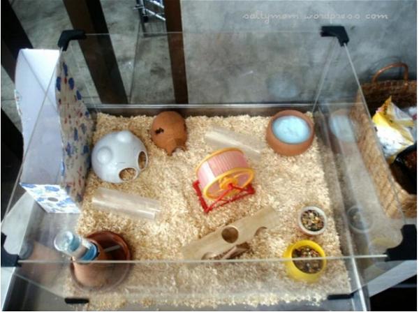 DIY Hamster Cage Deluxe Studio Apartment