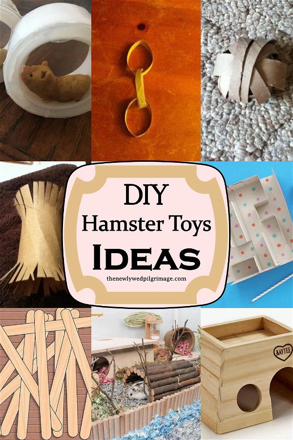 DIY Hamster Toys Ideas