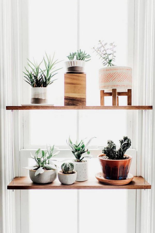 DIY Hanging Plant Shelf 1