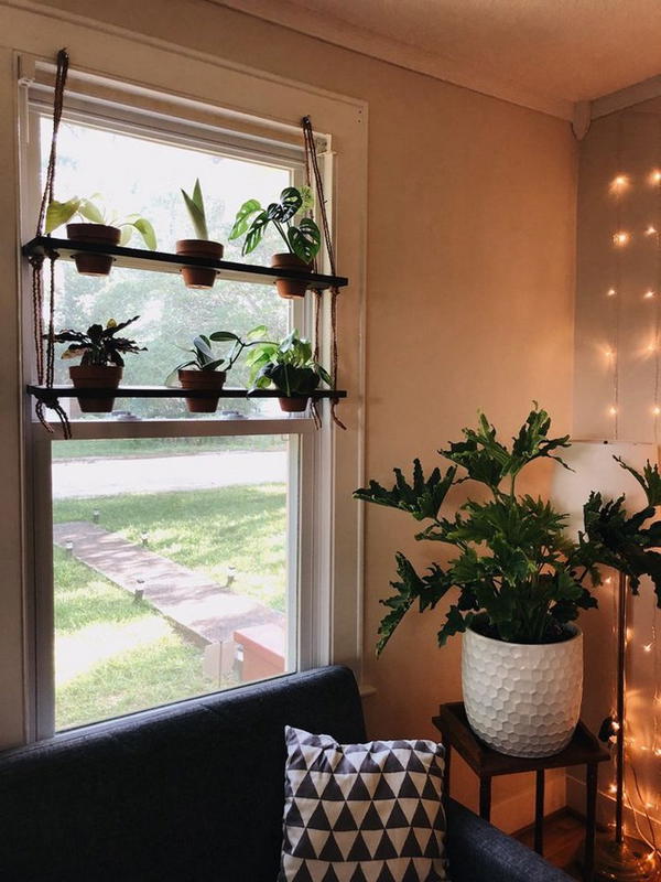 DIY Hanging Plant Shelf