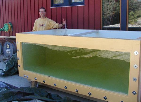 DIY Large Plywood Aquarium