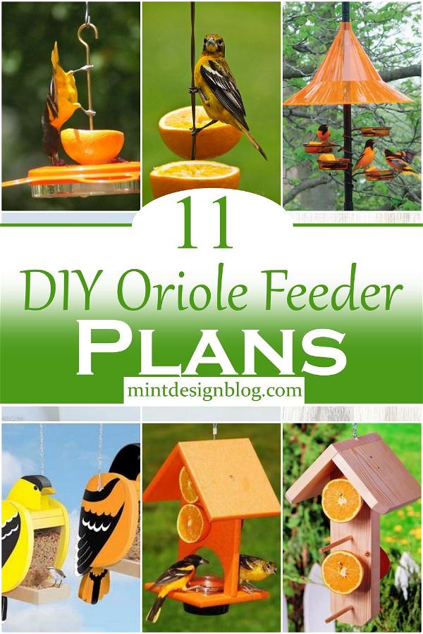 DIY Oriole Feeder Plans 1