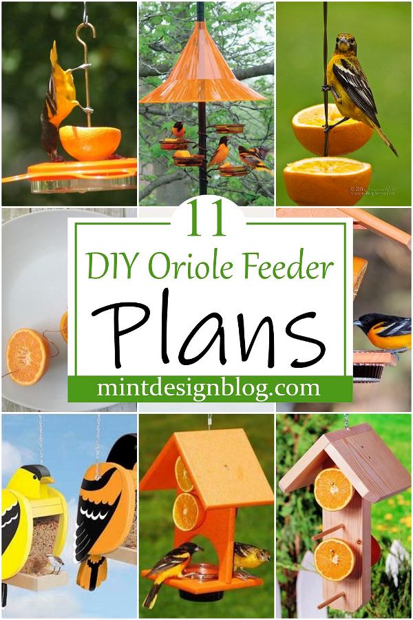 DIY Oriole Feeder Plans 2