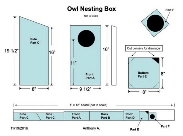 DIY Owl House Build