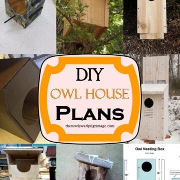 DIY Owl House Plans