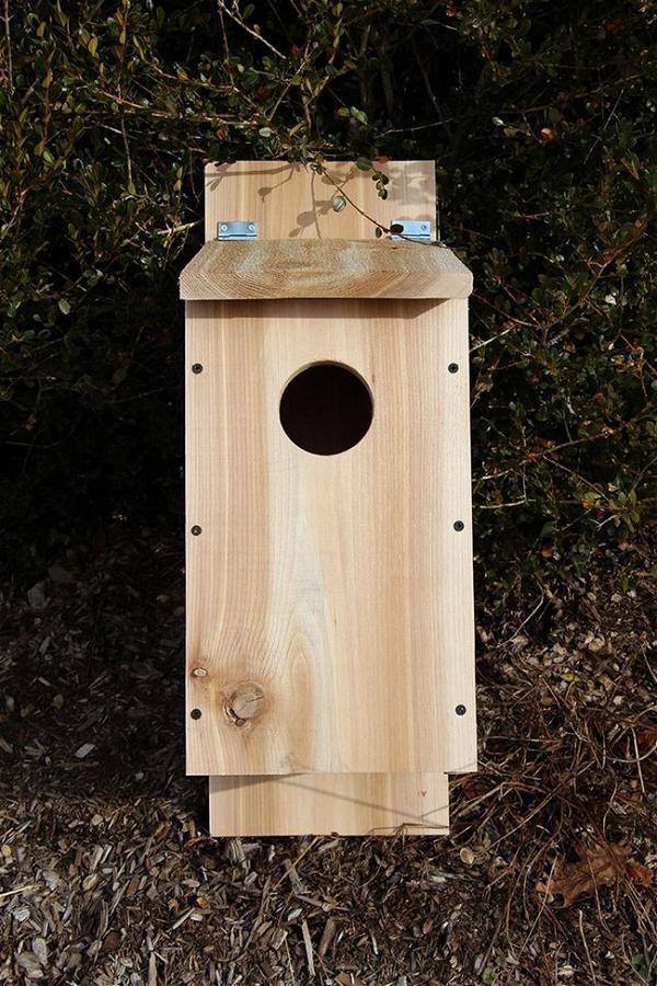 DIY Owl House With Cedar Board