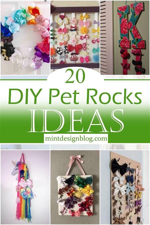DIY Pet Rocks Ideas 2