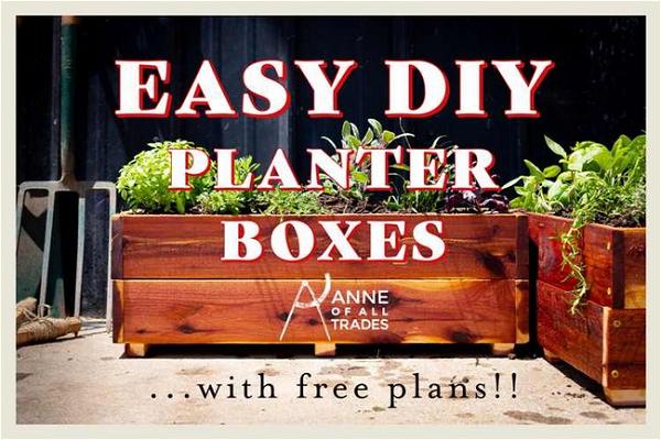 DIY Planter Box With Plans