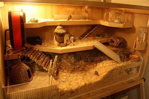 DIY Plywood Village Hamster Cage