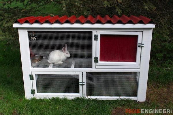 DIY Rabbit Hutch Plans