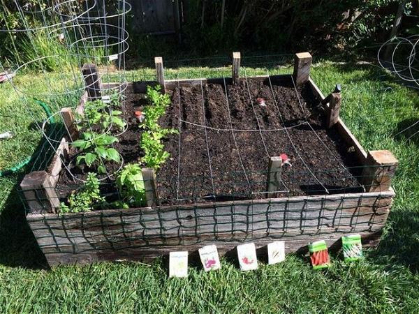 DIY Recycled Garden Box
