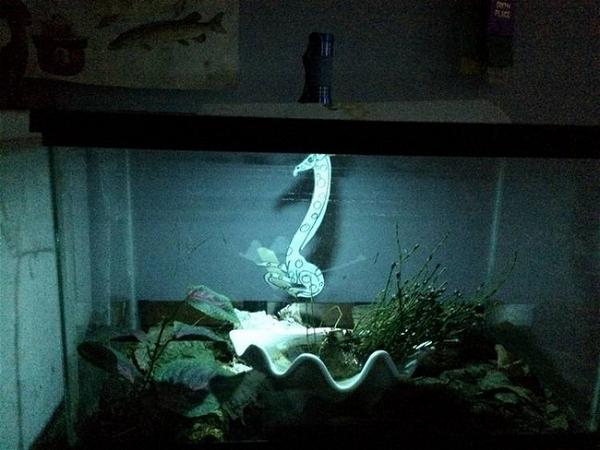 DIY Simple Aquarium Light