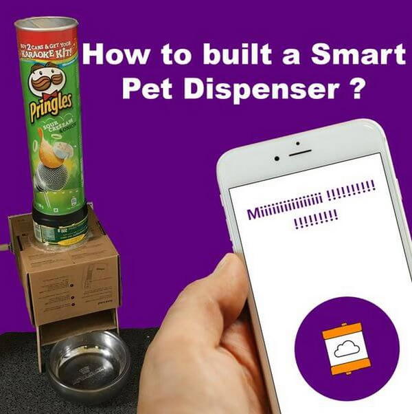 DIY Smart Cat Feeder