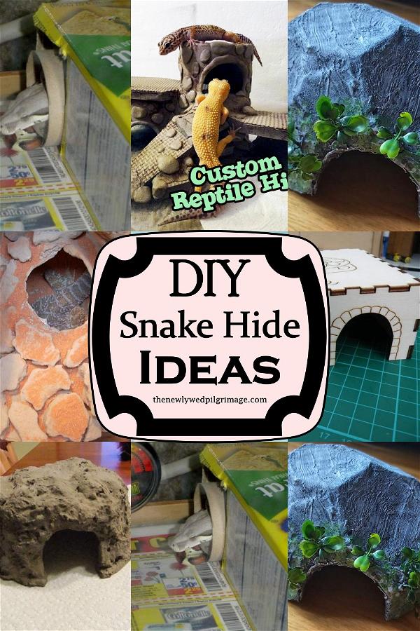 DIY Snake Hide Ideas