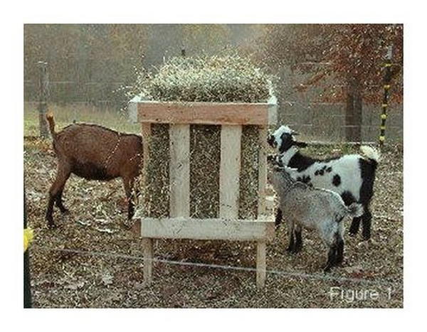 Square Bale Feeder Plans