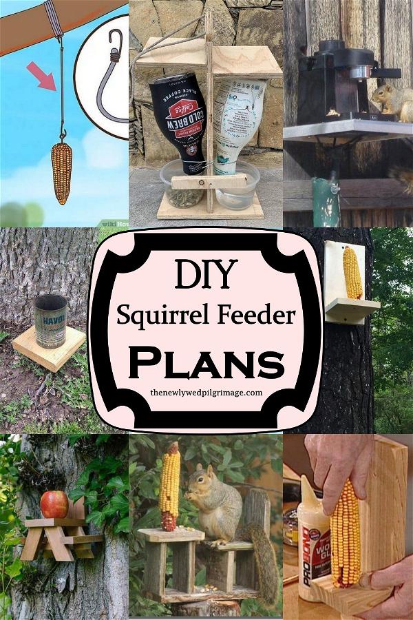 DIY Squirrel Feeder Plans