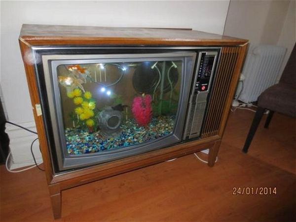 DIY TV Fish Tank