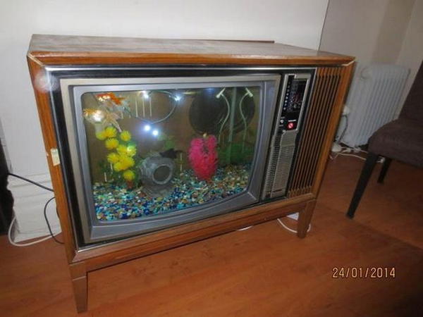 DIY TV Fish Tank