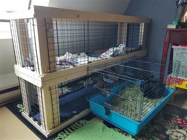 DIY Two Story Indoor Rabbit Hutch