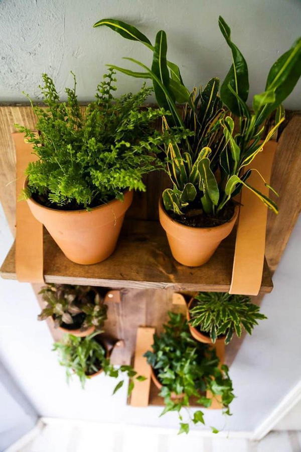 DIY Vertical Wall Planter 1