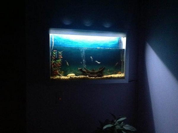 DIY Wall Aquarium