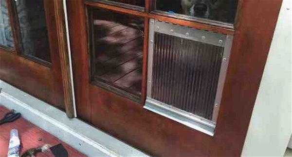 DIY Window Pane Dog Door