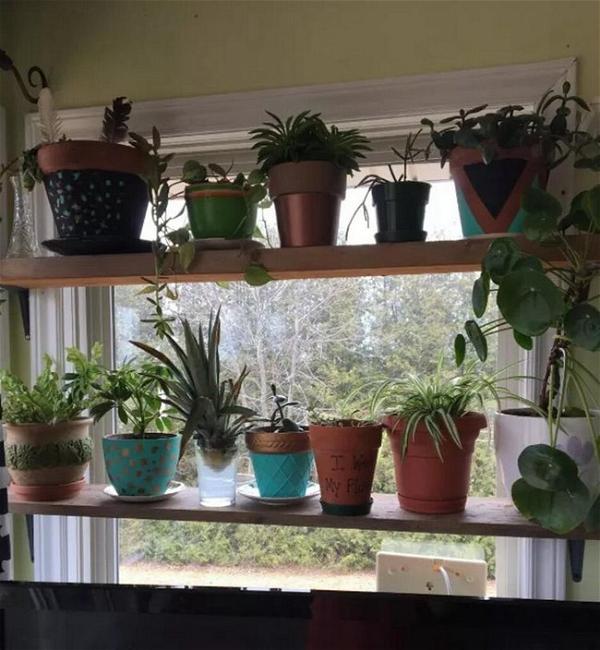 DIY Window Plant Shelf