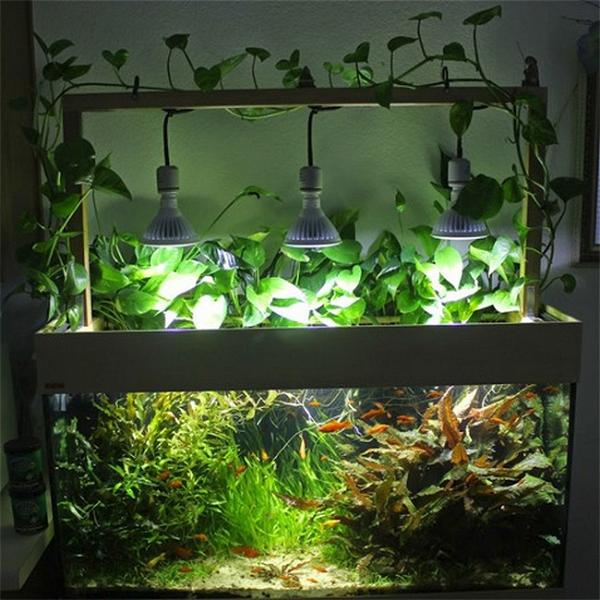 Do It Yourself LED Aquarium Lights