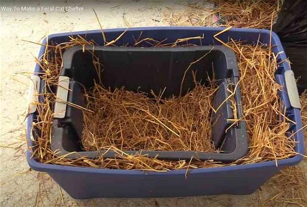 Feral Cat Shelter for Winter