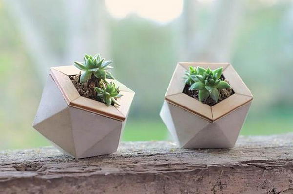 Geometric Concrete Planters DIY