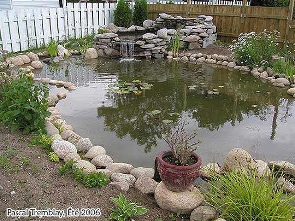 How To Build A Backyard Pond For Ducks