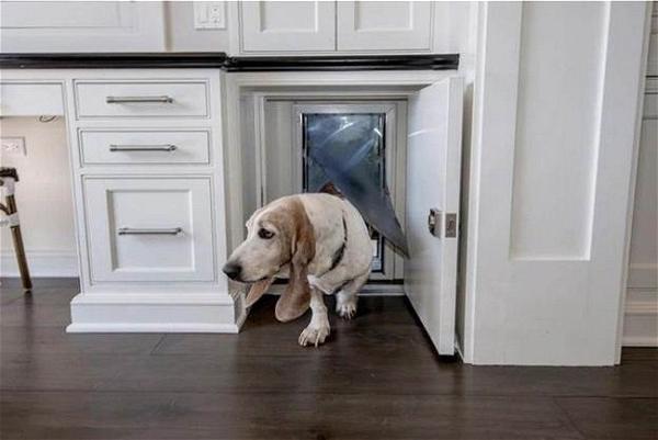 How To Build A Hidden Cabinet Doggy Door