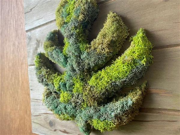 How To DIY A Preserved Moss Wall