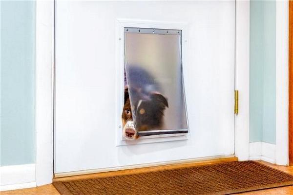 How To Install A Dog Door In A Metal Door