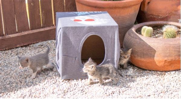 How To Make A Cheap Cat HouseHow To Make A Cheap Cat House