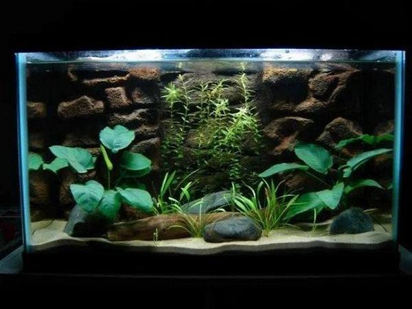 How To Make A DIY Aquarium Background Using Foam