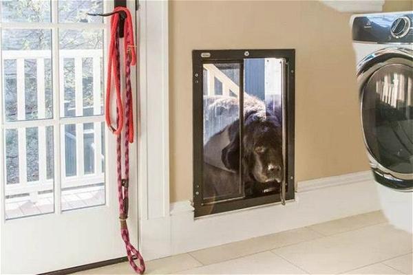 How To Make A Dog Door In A Wall