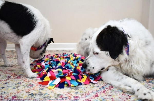 How To Make A Snuffle Mat